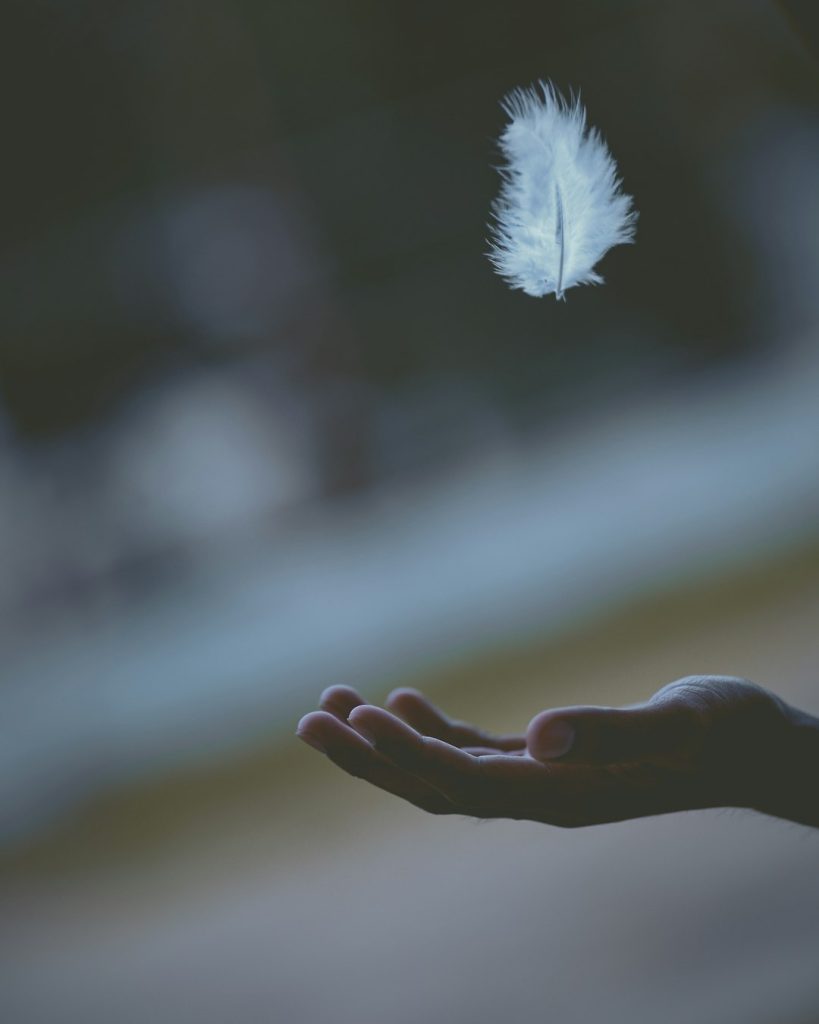 Contact shallow-focus-photography-of-white-feather-dropping-in-persons-hand-fl6rma2jepu